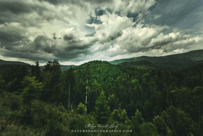 cinematic green