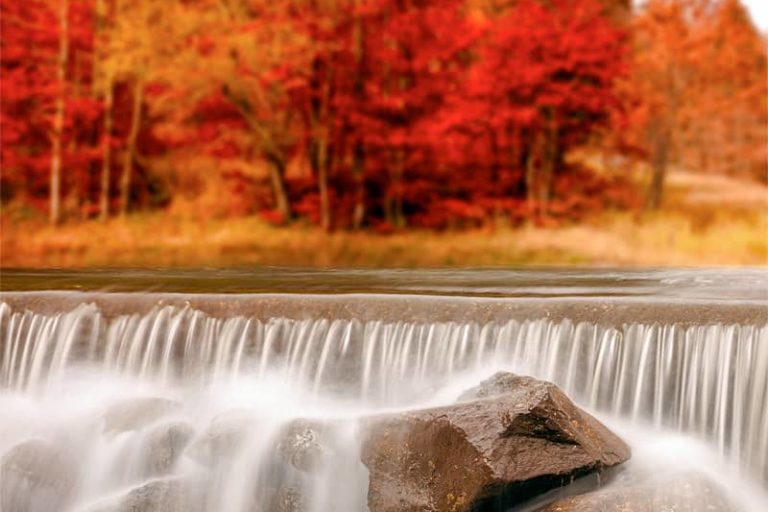 Chute d'eau avec des arbres rouge dans le fond