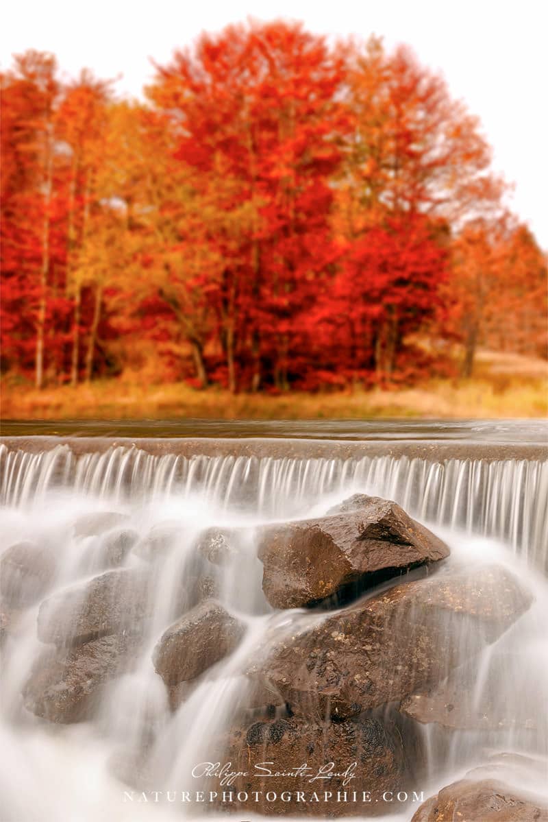 Chute d'eau avec des arbres rouge dans le fond