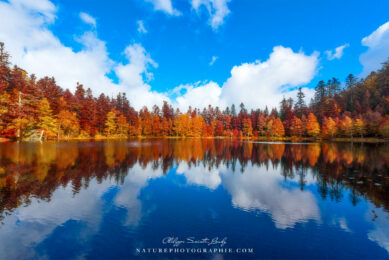 Lac de la Maix dans les Vosges en automne