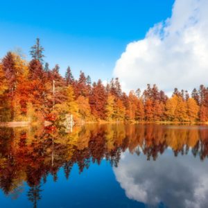 Lac de la Maix - Vosges