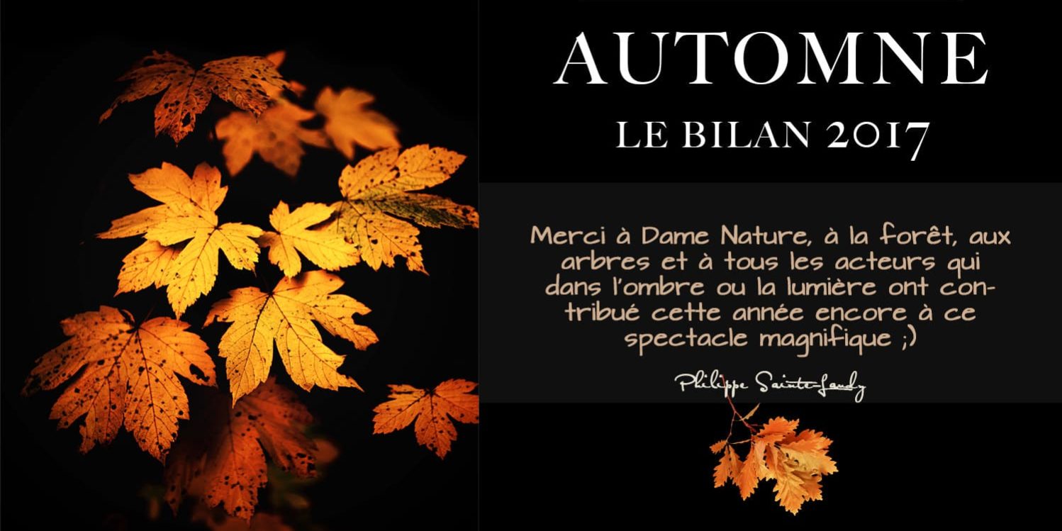Automne-2017
