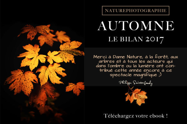 Automne-2017