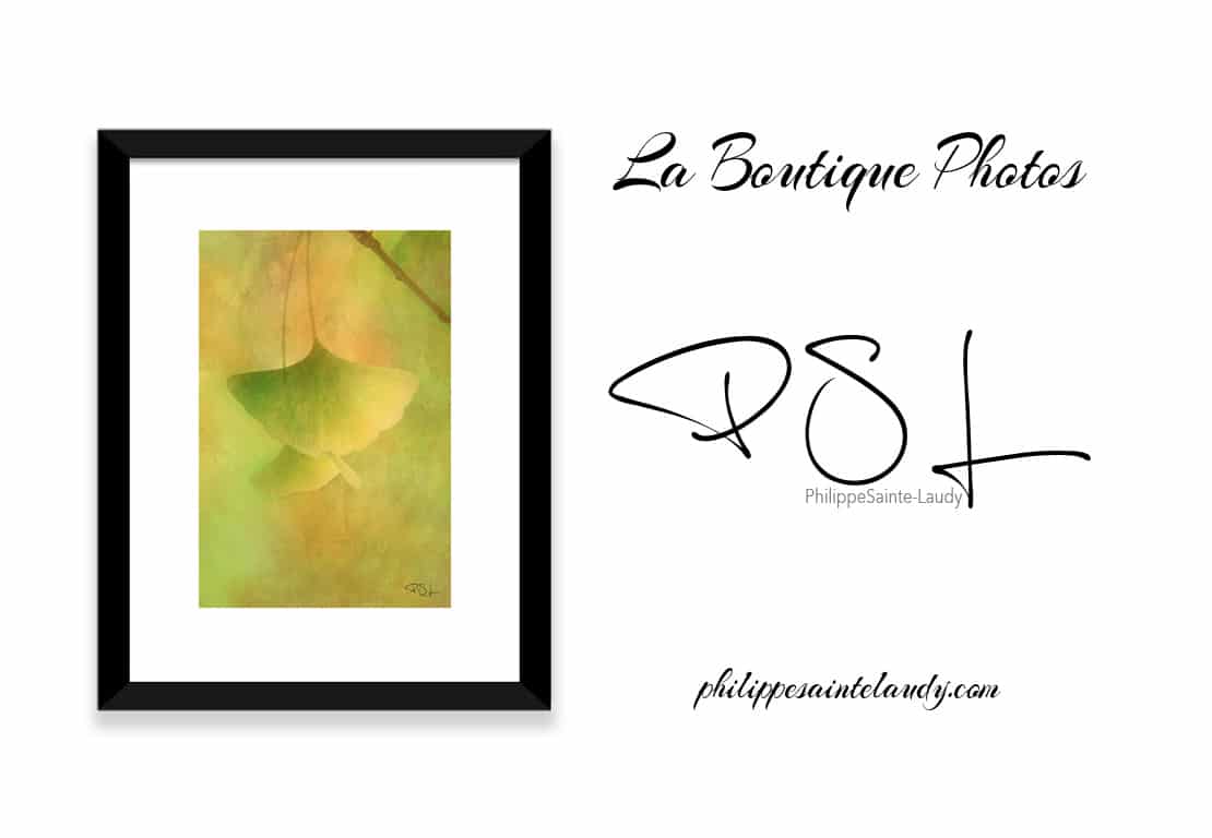 LA BOUTIQUE