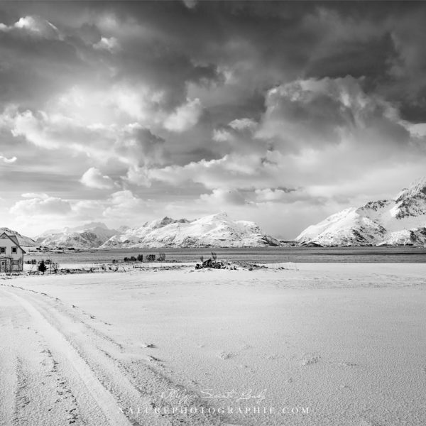 Get Out Of Your Own Way