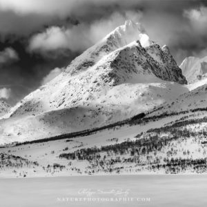 Noir et blanc aux Lofoten