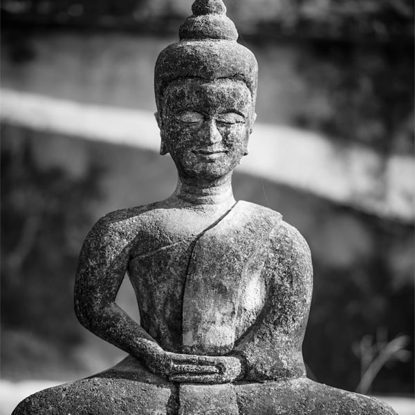 In Search Of Happiness