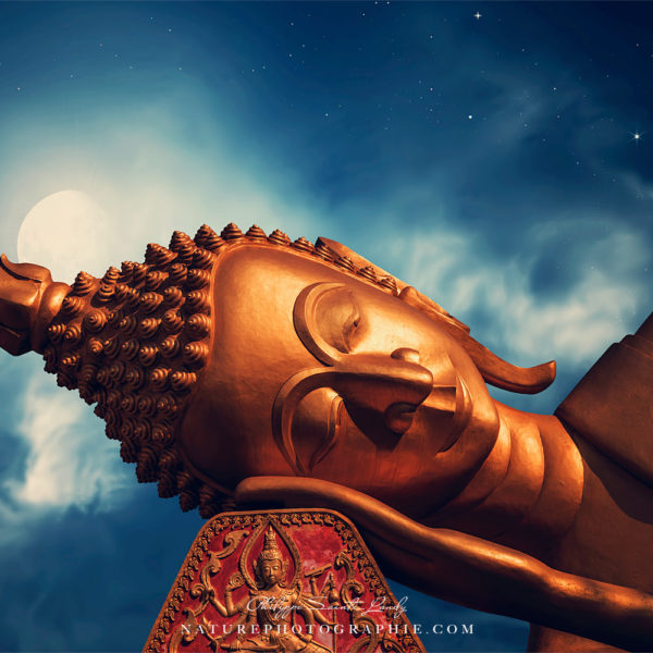 Moonlit Buddha