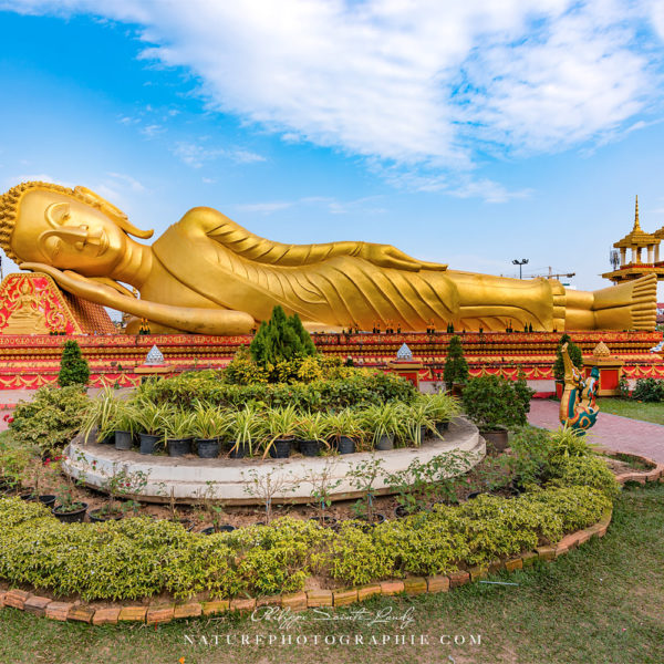 Reclining Buddha