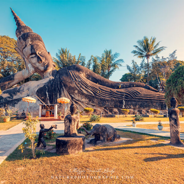 Sunrise at Buddha Park
