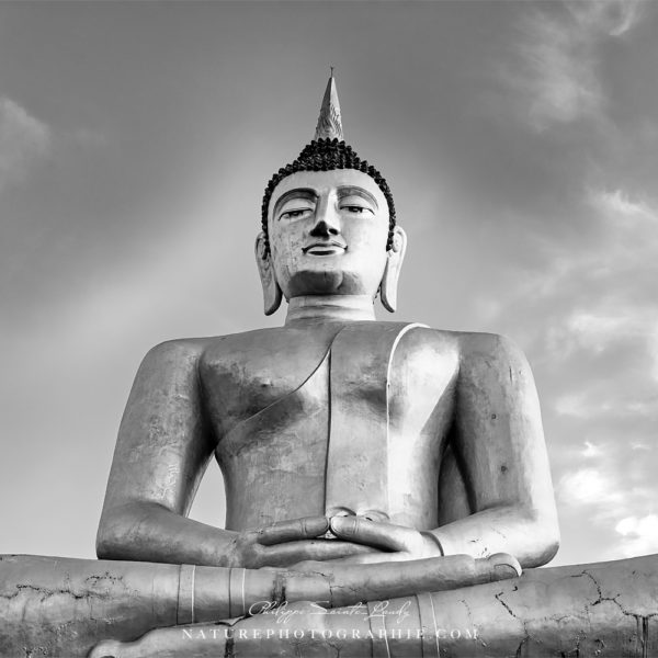 Addicted to Your Love