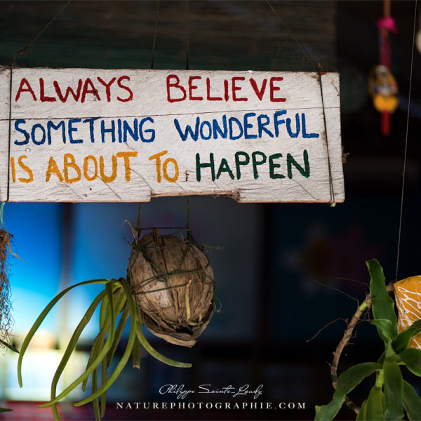 Always Believe
