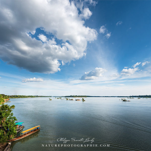 Another Day in Paradise