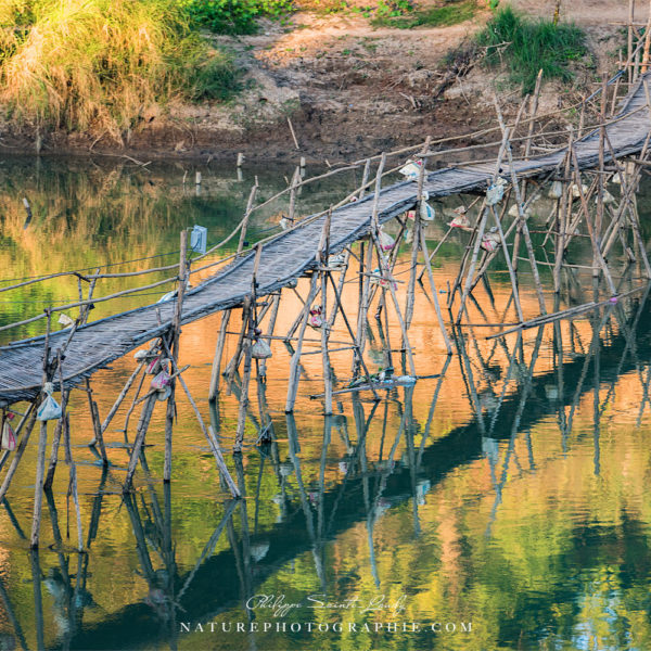 Bamboo Bridge