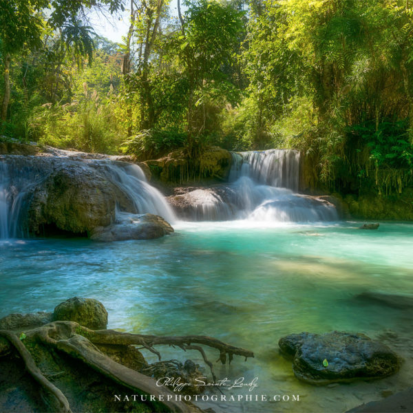 Dance on the Water Dance on the Water