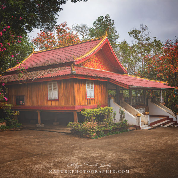 Floating on Your Memories