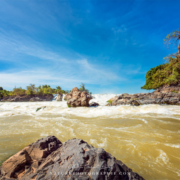 I’m a Stranger in a Strange Land.