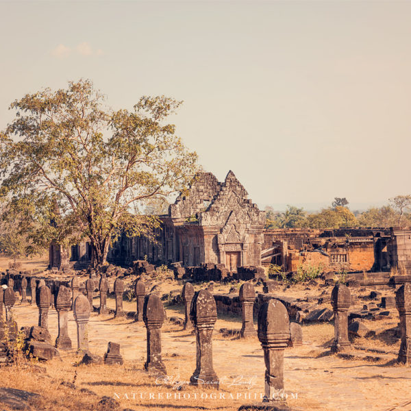 Like Tomorrow Never Comes