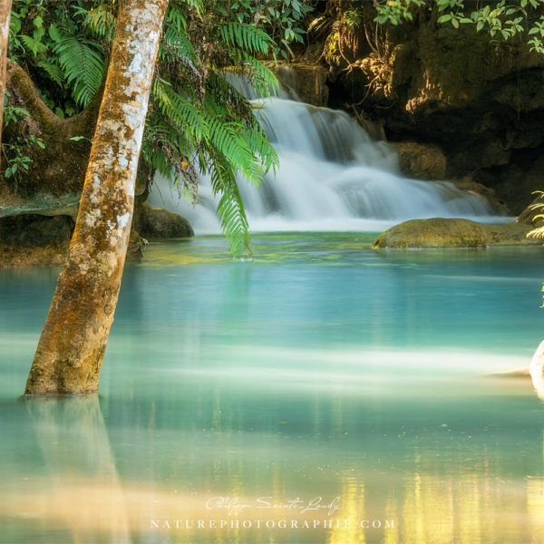 Limitedless Limitedless