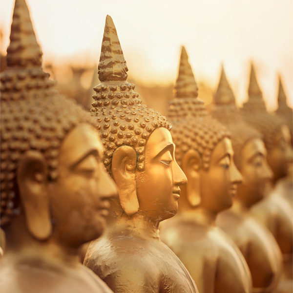 Make the Right Choice