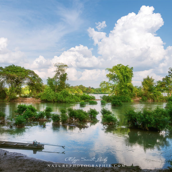 Mekong Landscape