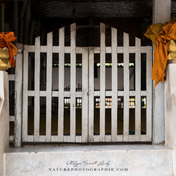 Memory of the Future