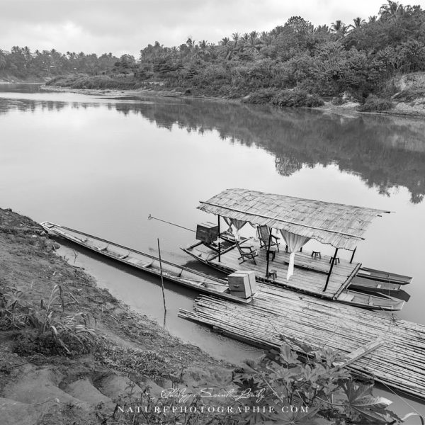 On the Banks of the Mekong