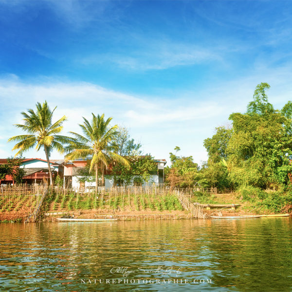 Out Of Blue Comes Green