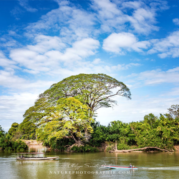Paired With The Clouds