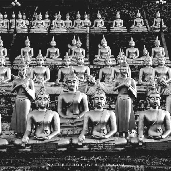 Redemption Interlude