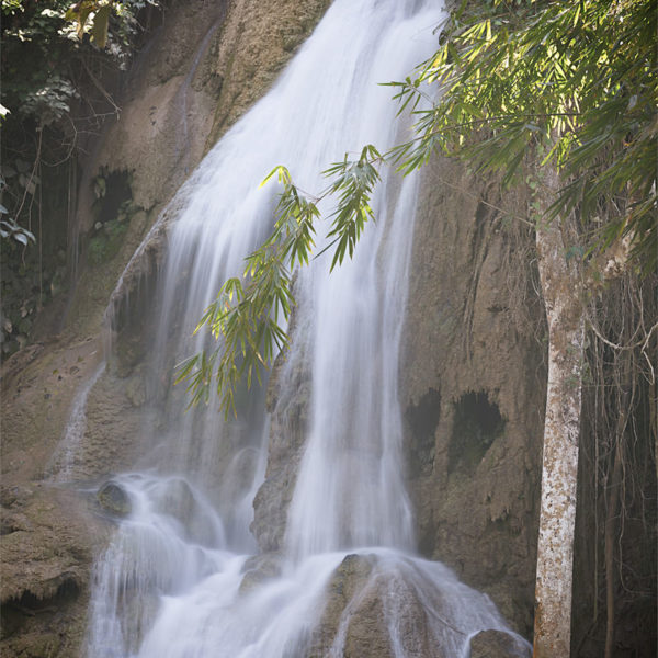 Silence Never Heard Silence Never Heard