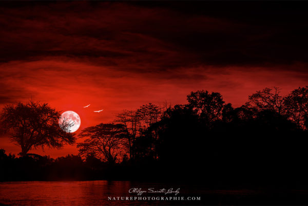 Solitude Hymns Vision personnelle d'une nuit au Laos