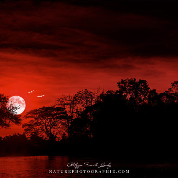 Solitude Hymns Vision personnelle d'une nuit au Laos