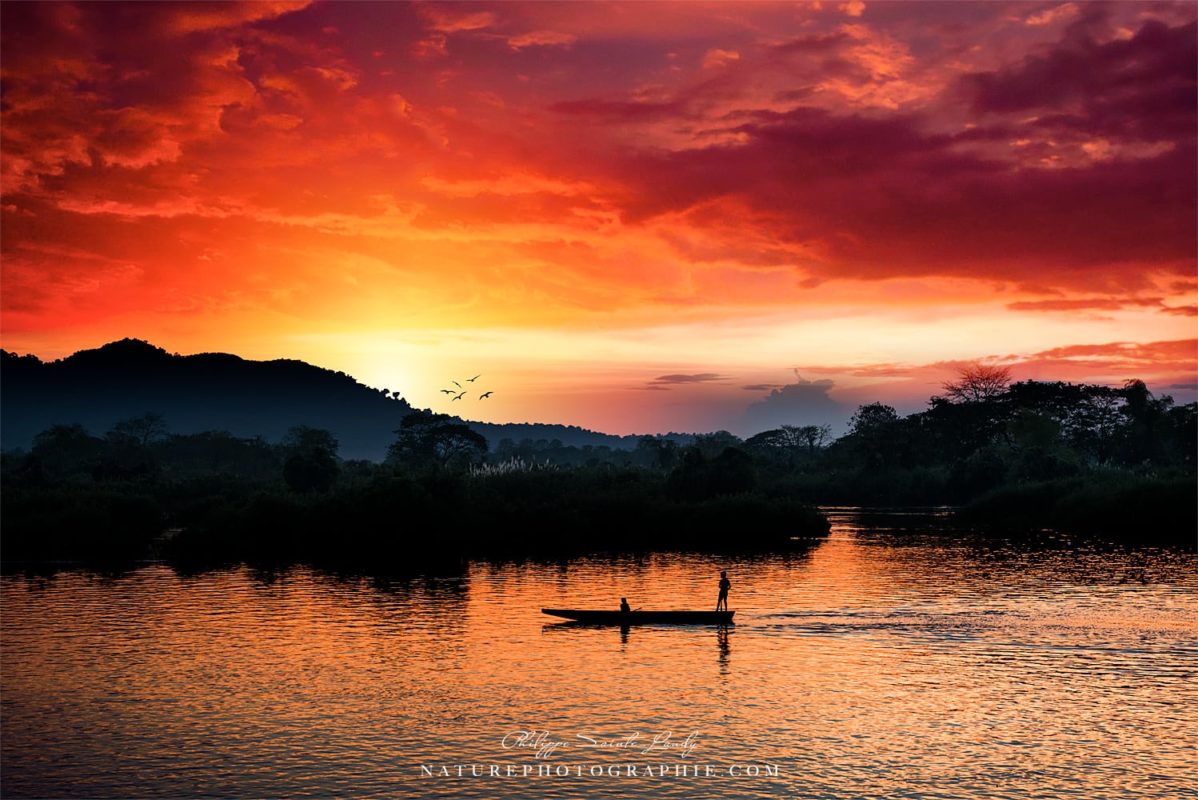 Mes Plus Belles Photos L Annee 2018 En 32 Images Nature Et