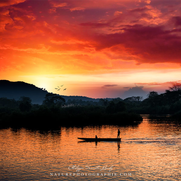 Standing in this Dream