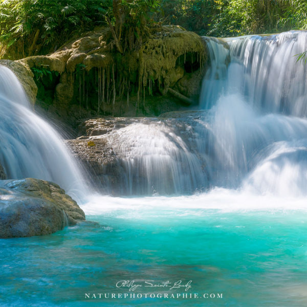 Tears Always Win Tears Always Win