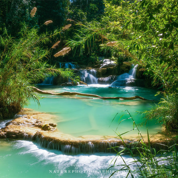 The Begining The Begining