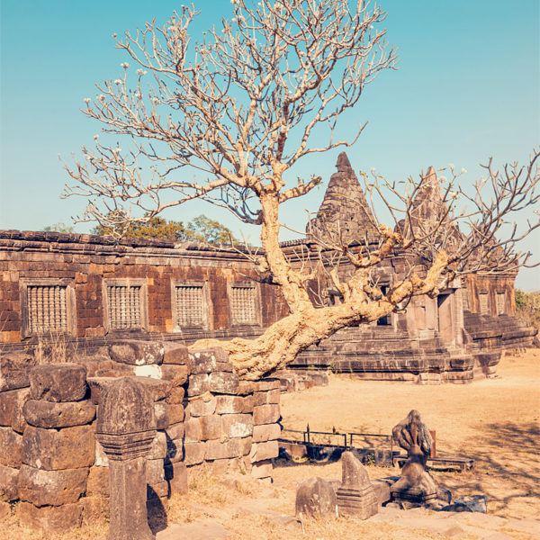 The Ruins of Vat Phou