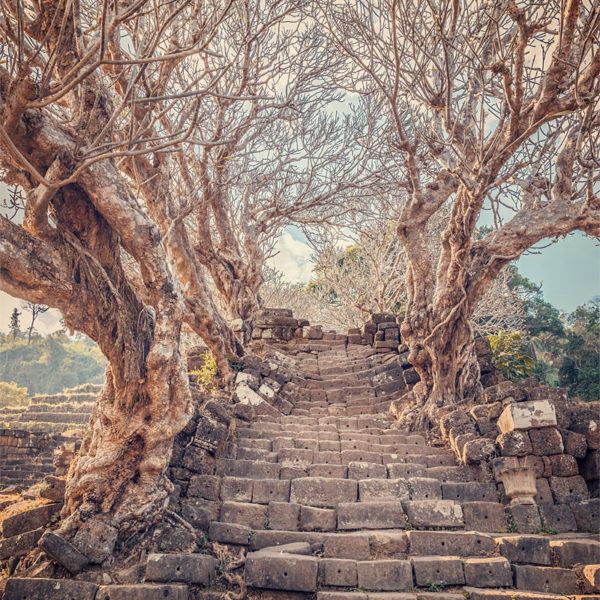 The Stairs of Vat Phou