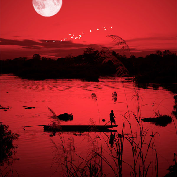 White Birds photo rouge du Laos