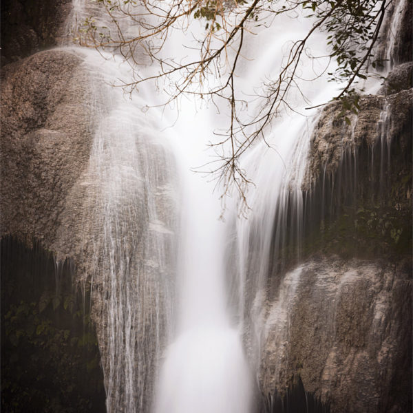 Wild One Cascades de Kuang Si au Laos