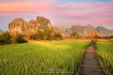 Lever de soleil sur les rizières de Vang Vieng au Laos