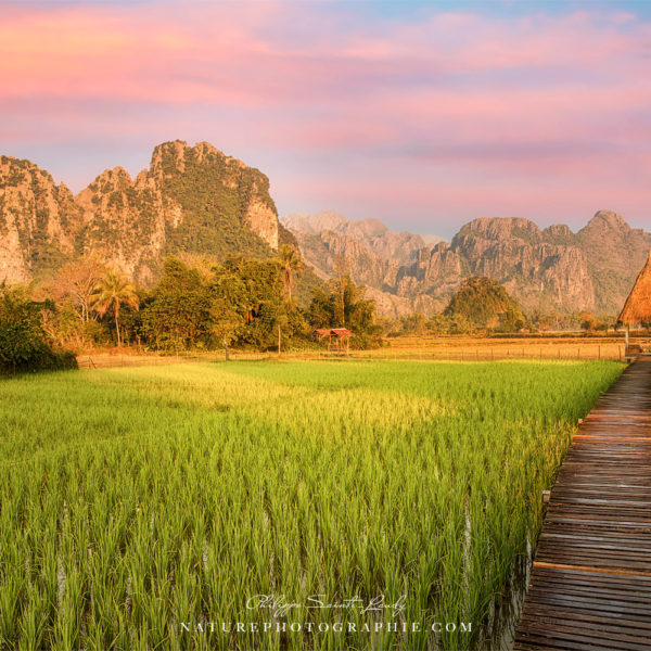 06.50 Sunrise Lever de soleil sur les rizières de Vang Vieng au Laos