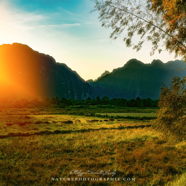 Mysterious Vibes Le soleil disparaît sur Vang Vieng