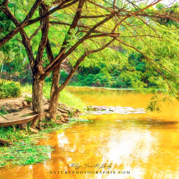 Paintings of Laos Paintographie d'un paysage en bordure du Mékong