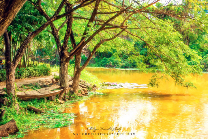 Paintographie d'un paysage en bordure du Mékong