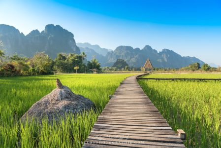 Au milieu des rizières de Vang Vieng