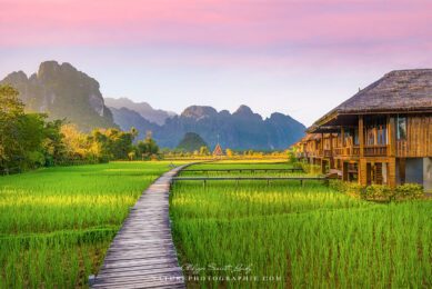 Rizière verte à Vang Vieng au Laos