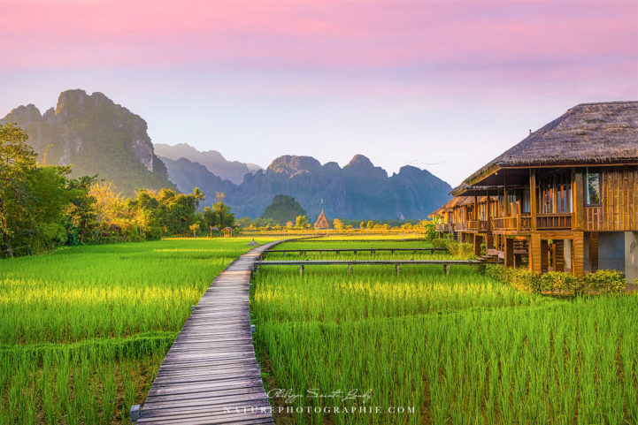 Rizière verte à Vang Vieng au Laos