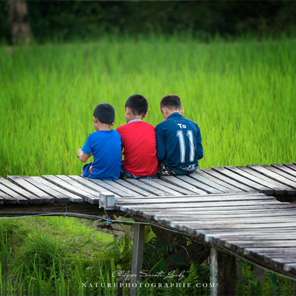 Trio Enfant au Laos au bord d'une rizière